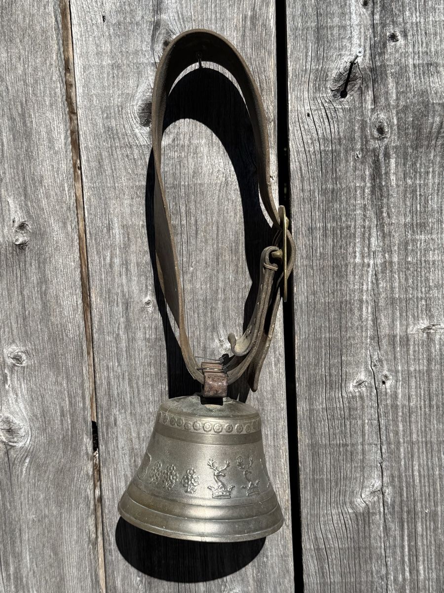 Campanacci mucche: Schöne alte Glocke – Usato da Sargans venduto da foxtrading 3