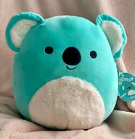 Squishmallow KEVIN der Koala / NEU