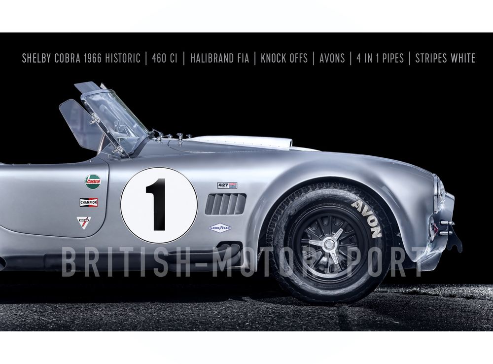 Shelby Cobra 427 50 Anteil incl Versicherung / Garantie Kaufen auf Ricardo