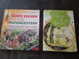 Elfen und Naturgeister Bücher