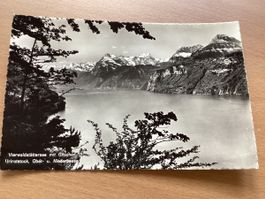 AK Vierwaldstättersee, Gitschen, Urirotstock, Oberbauen