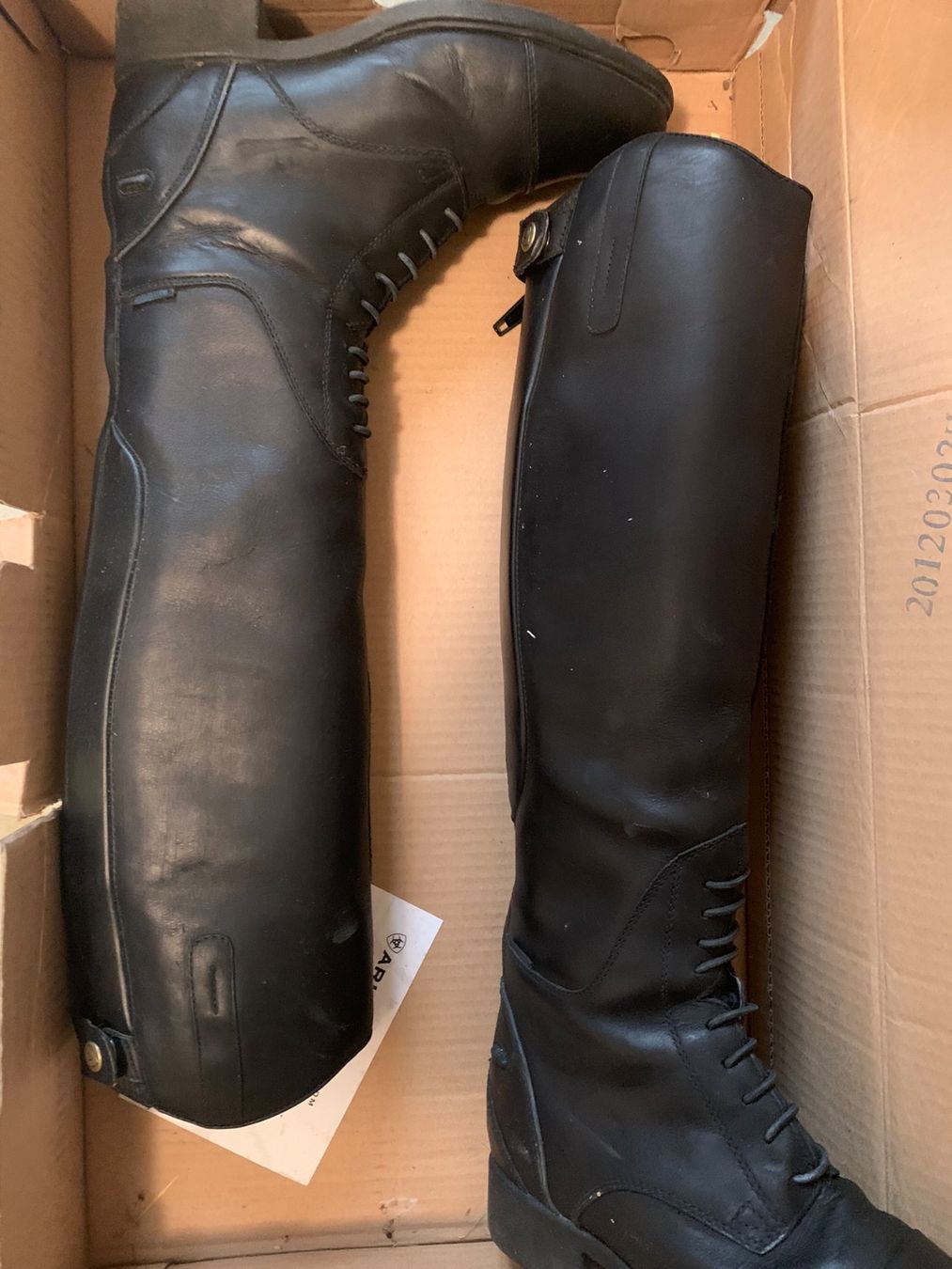Scarpe da donna: Ariat Sommer Reitstiefel – Usato da Mettau venduto da Sonne2014 1