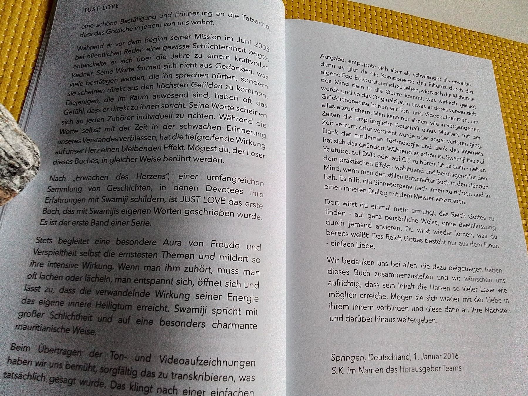 Libri: JUST LOVE - Die Essenz von Allem – Nuovo (secondo la descrizione) da Rebstein venduto da Buchsi03 6