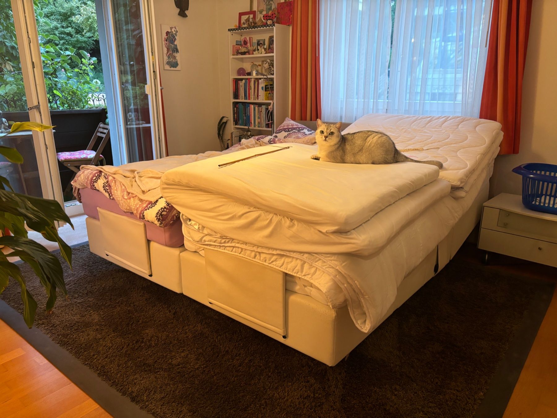 Letti: Boxspringbett elektronisch kipp und verstellbar – Usato da Adliswil venduto da Rai_ki