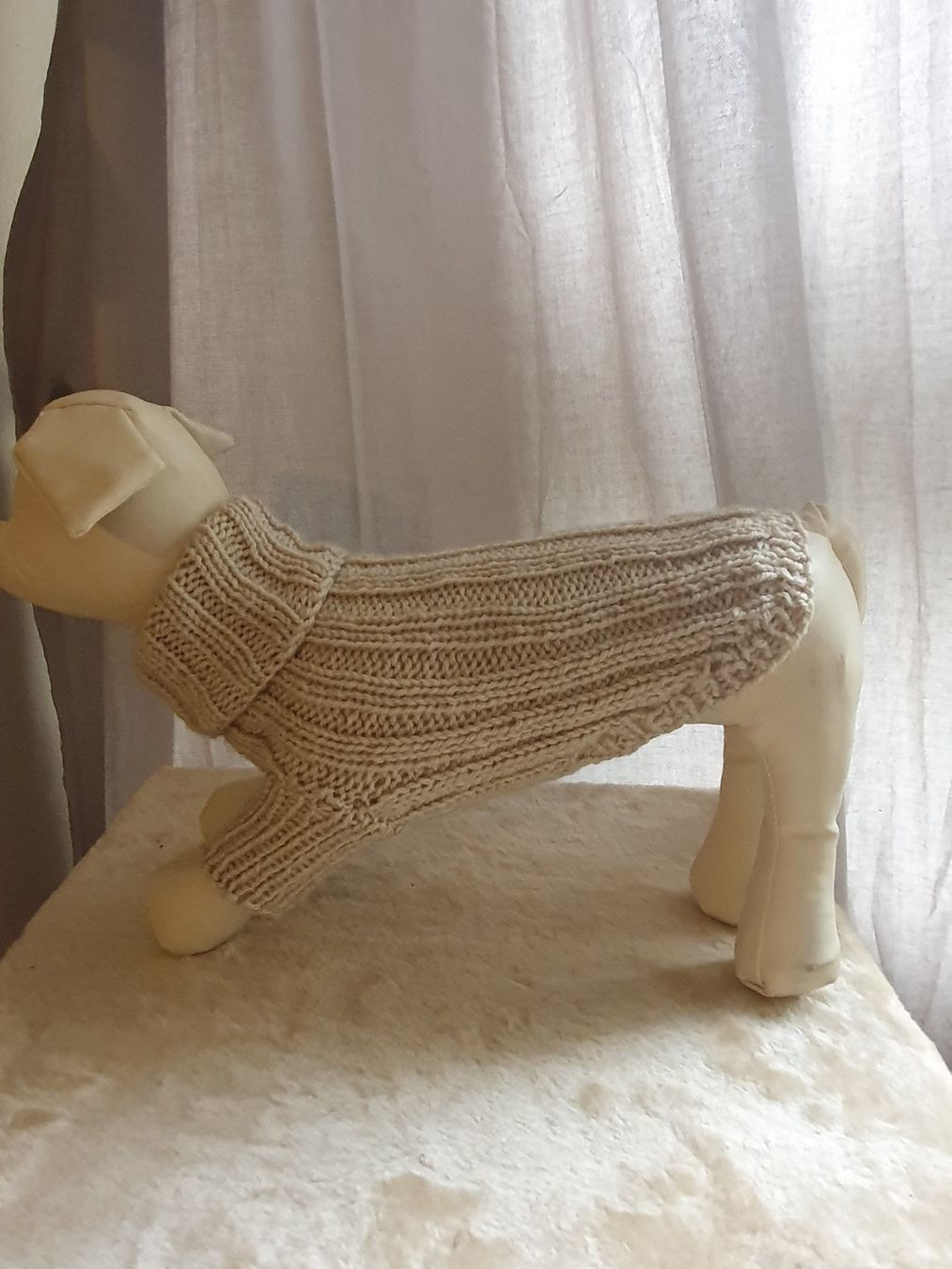 Abbigliamento: pull chien neuf modele unique T 23--24 – Nuovo e nell'imballaggio originale da Thônex venduto da lacomtessedesfees