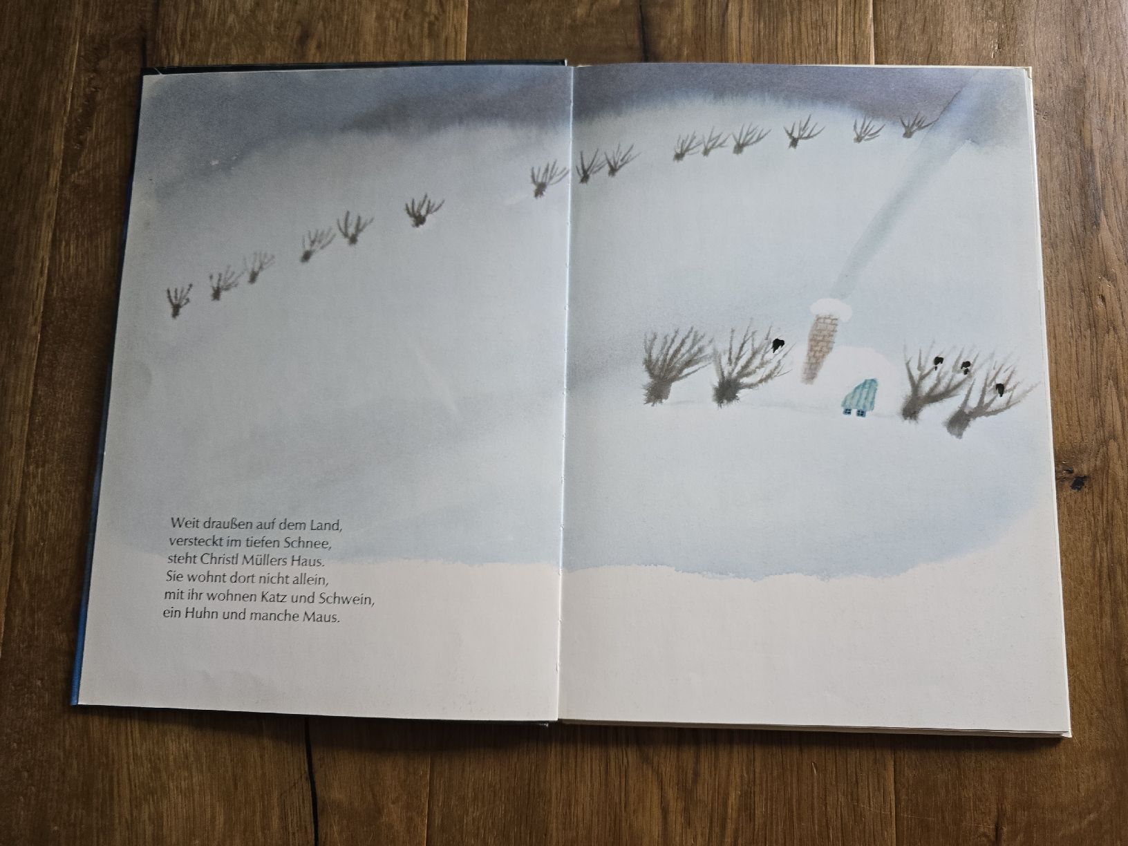 Libri: Christl Müllers Kätzchen Kinderbuch / Vorlesebuch,  – Usato da Wittenbach venduto da Tigerlili 1