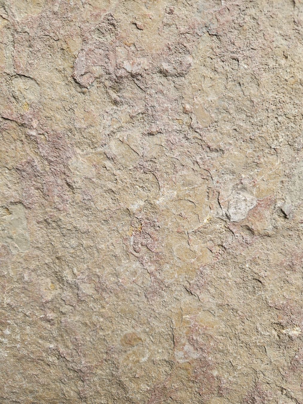 Rivestimenti per pavimenti: Blocs calcaire – Usato da Biel/Bienne venduto da echinops 1