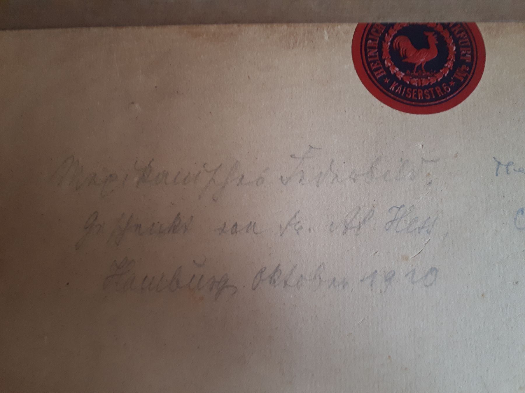 Foto & Immagini: Mexikanische Federnbild – Usato da Dielsdorf venduto da anabur 1