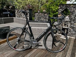 Storck Scenario Team Rennrad