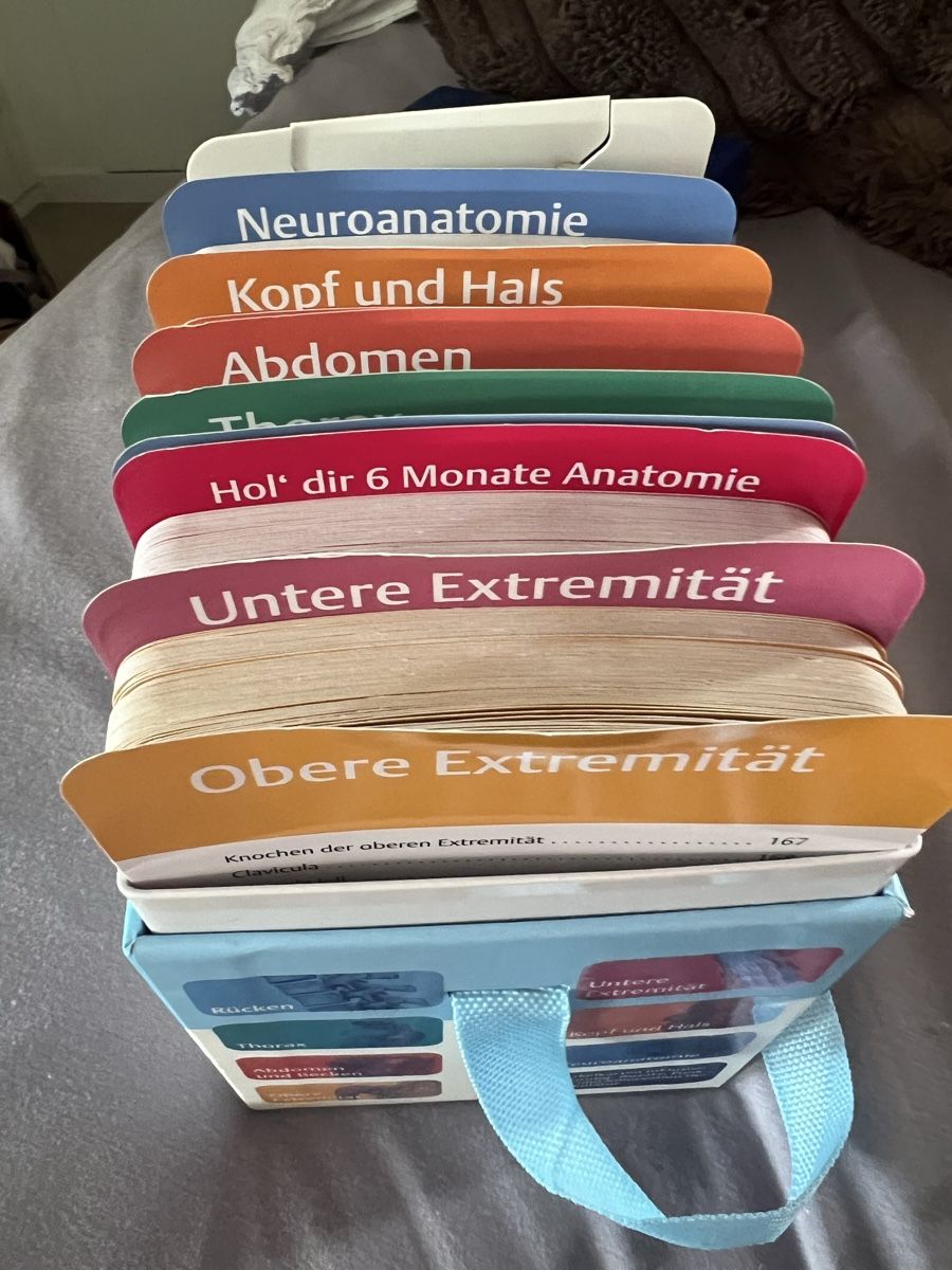 Libri: Prometheus LernKarten der Anatomie 7. Auflage – Nuovo (secondo la descrizione) da Herrliberg venduto da nas_sv5p 1