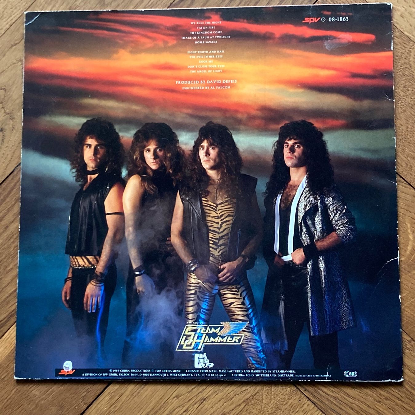 Dischi in vinile: Virgin Steele - Noble Savage, LP – Usato da Bern venduto da Ntsamina 1