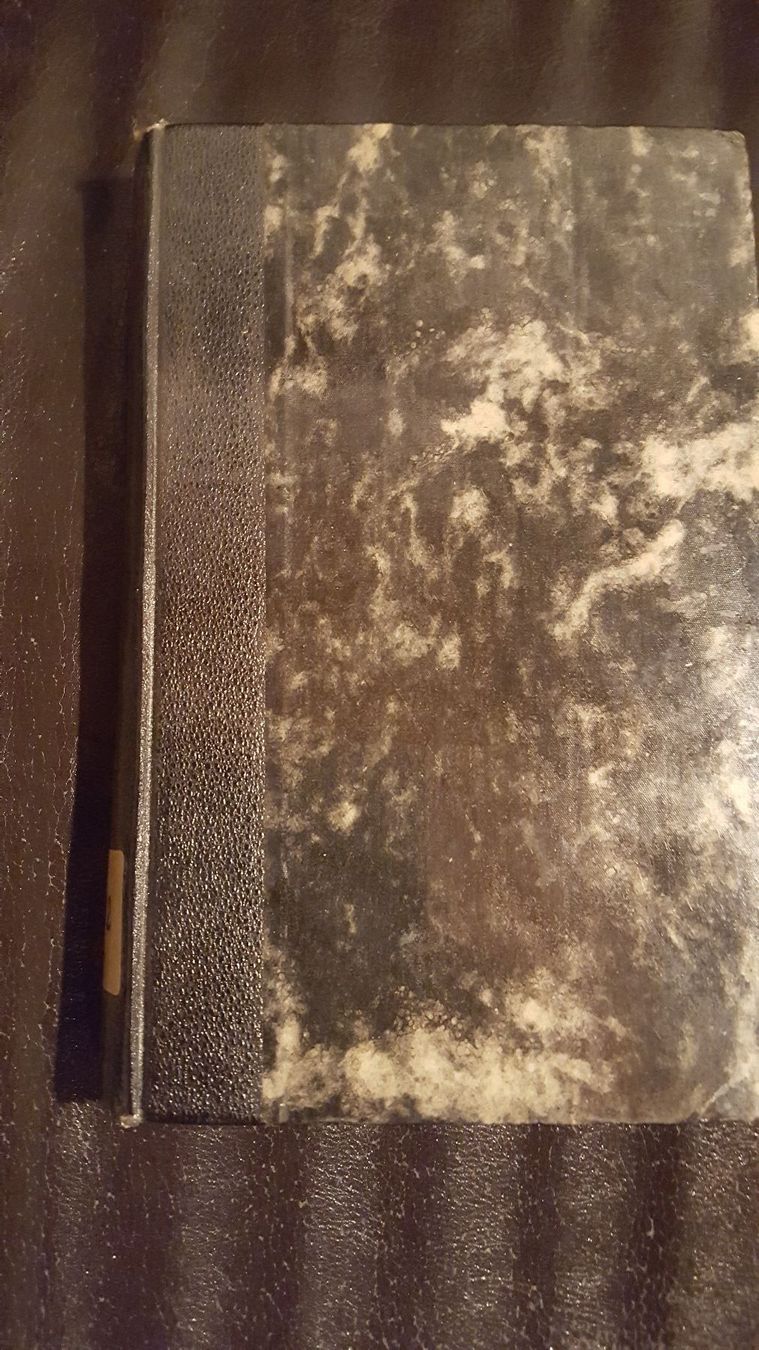 Libri: Buch Irene Ein Mädchen findet seinen Weg – Usato da Remetschwil venduto da Privatflohmi