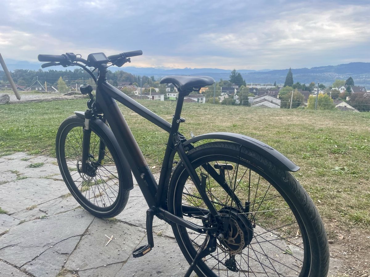 Trelago Biciclette: S Pedelec / E-Mountainbike 2 in 1 – Usato da Uster venduto da FRIEDEN8610 1