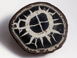 Septarie Stein(Drachenei) 4,8cm - 41 Gramm