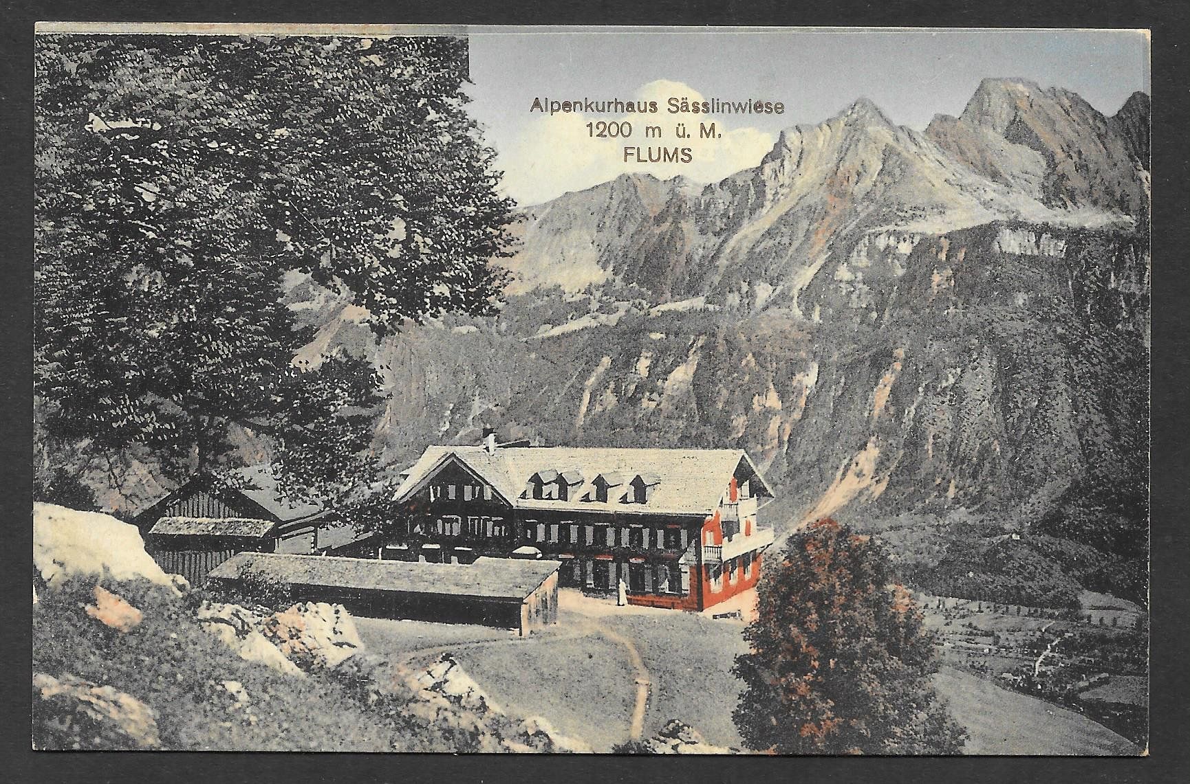 Cartes postales: Flums Alpenkurhaus Sässlinwiese – D'occasion à Olten par clotaldi