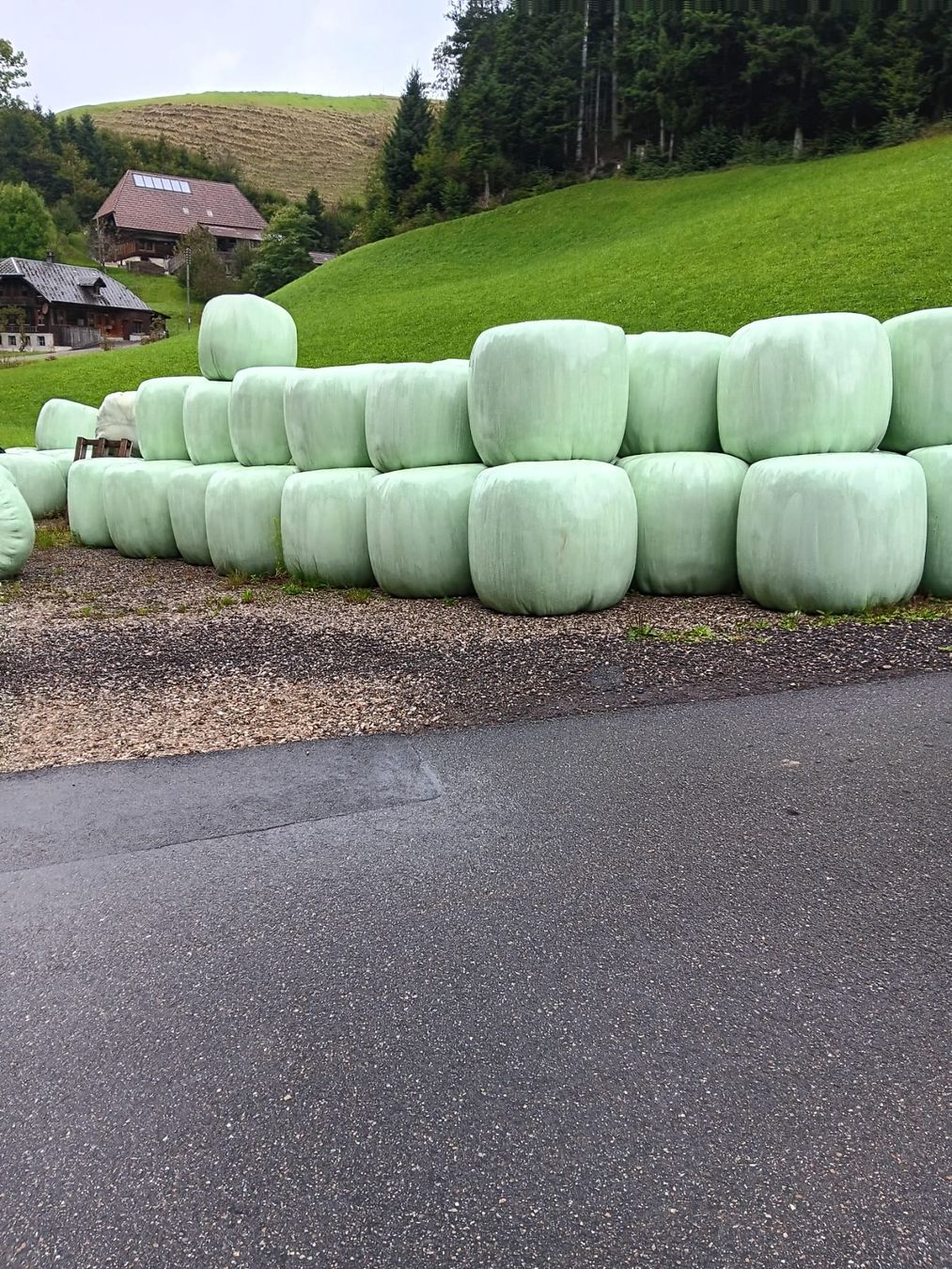 Futter: Grassiloballen Ernte 2025 – Neu und originalverpackt aus Heimisbach von hakulihe 1