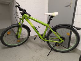 Scott Mountainbike Damen