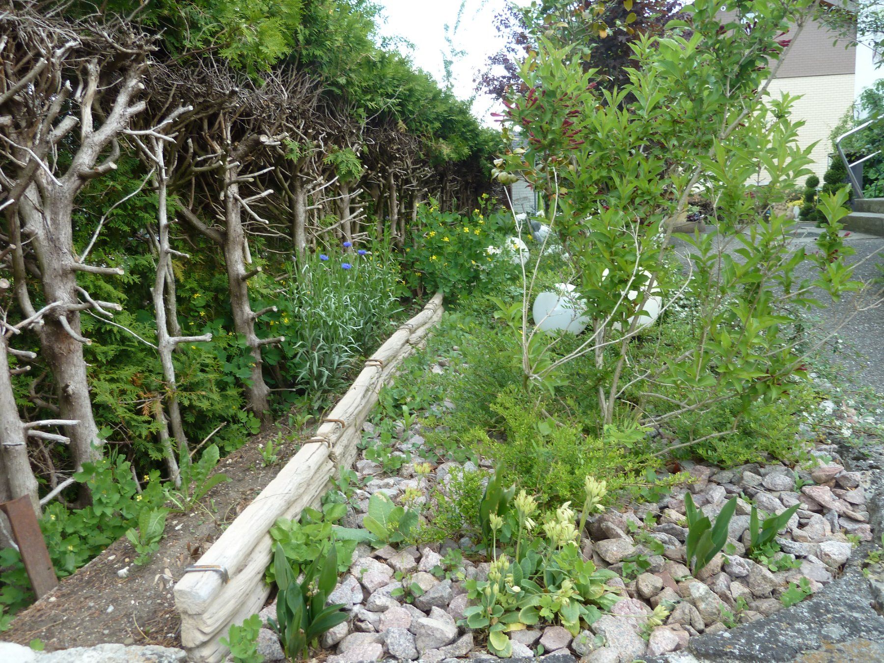 Minerali & Pietre curative: Beton Palisade 60 mit Holzstruktur – Nuovo (secondo la descrizione) da Herbetswil venduto da AHA-Garten 9