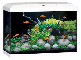 Juwel Primo 70 LED 2.0 Aquarium weiss