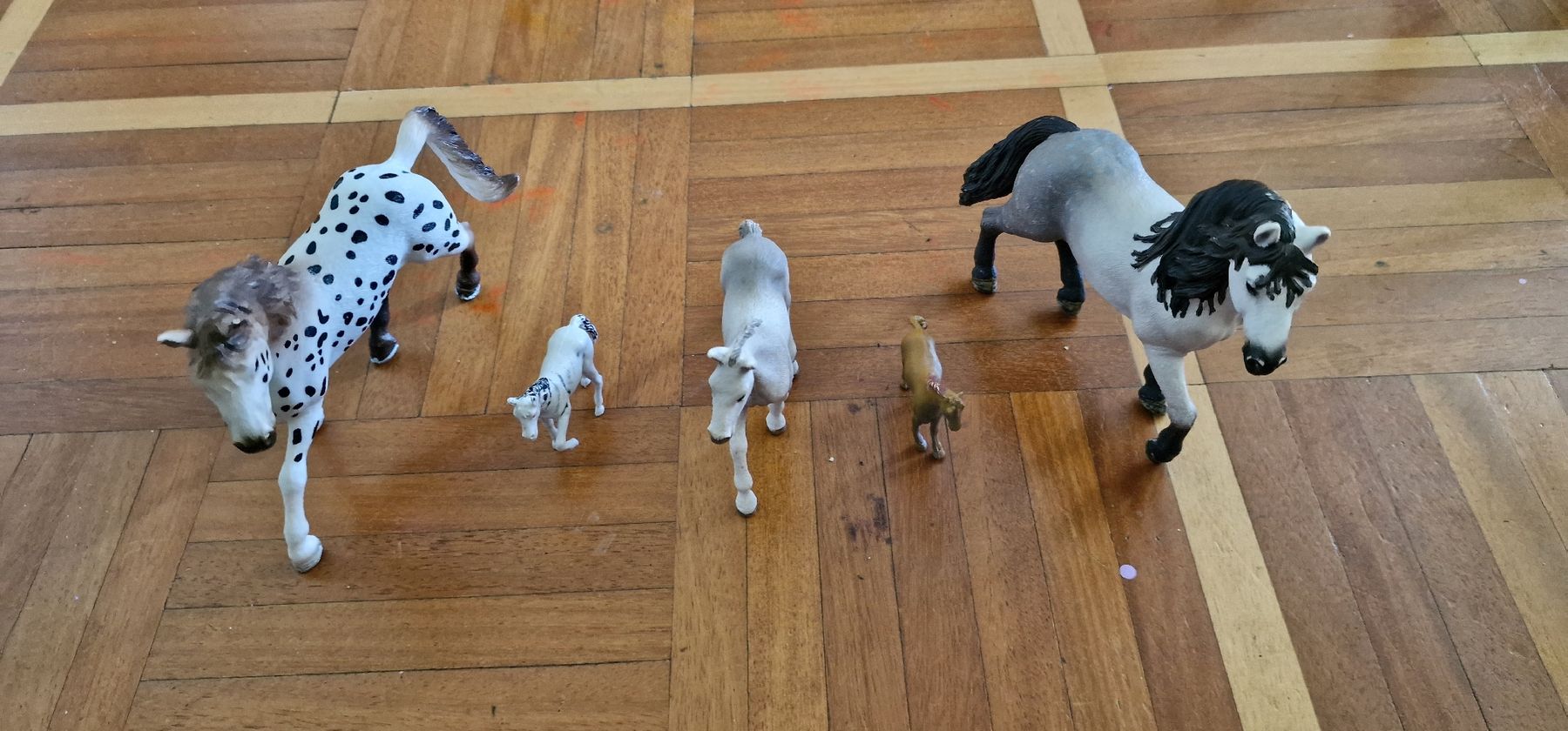 Schleich Spielzeuge: Schleichtiere – Neu (gemäss Beschreibung) aus Wallisellen von sugon