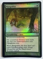 MTG Mungoblut Foil Deutsch NM Coldsnap