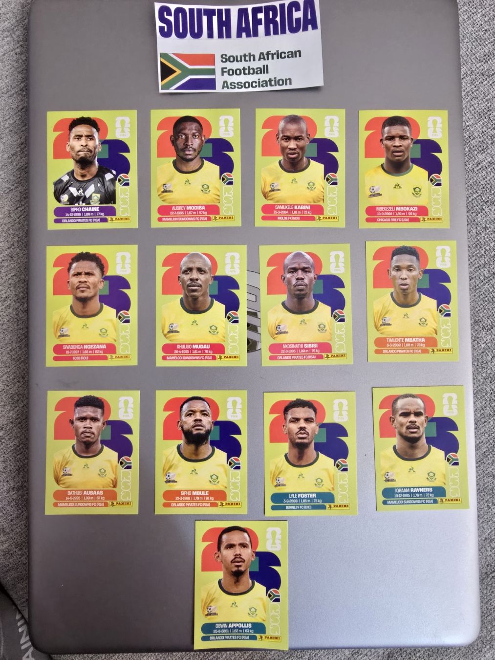 Panini Carte collezionabili: Südafrika Panini WM 2026 – Nuovo (secondo la descrizione) da Zürich venduto da TutNixCH