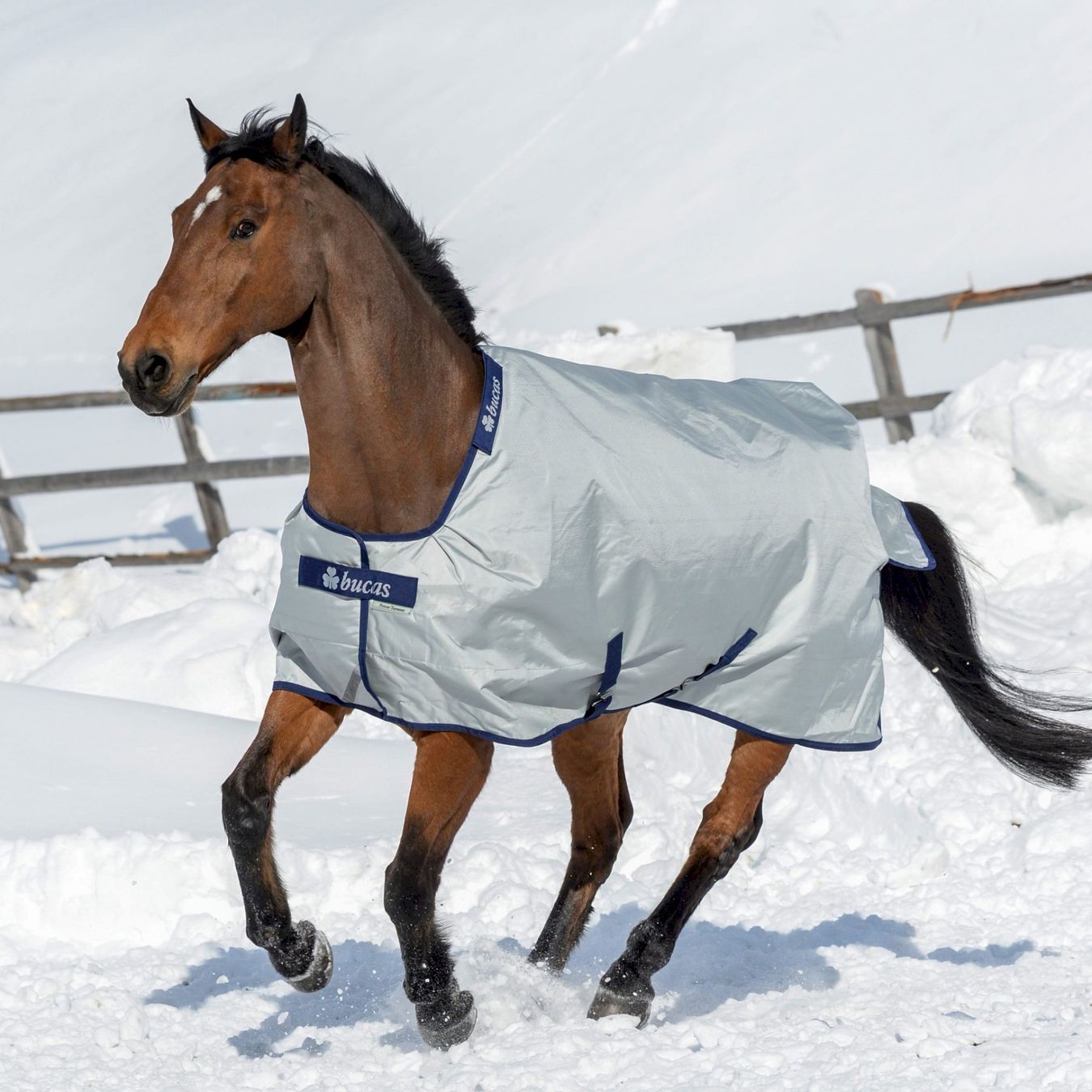 Coperte & Accessori: Bucas Power Turnout Light High Neck 145 – Nuovo e nell'imballaggio originale da Bottighofen venduto da zaap
