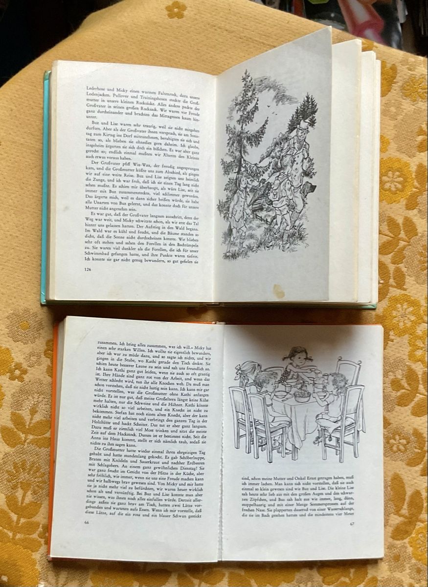 Libri: 2 Kinderbücher von Marlen Haushofer – Usato da Endingen venduto da nathan05 7