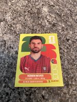 Panini Por 11