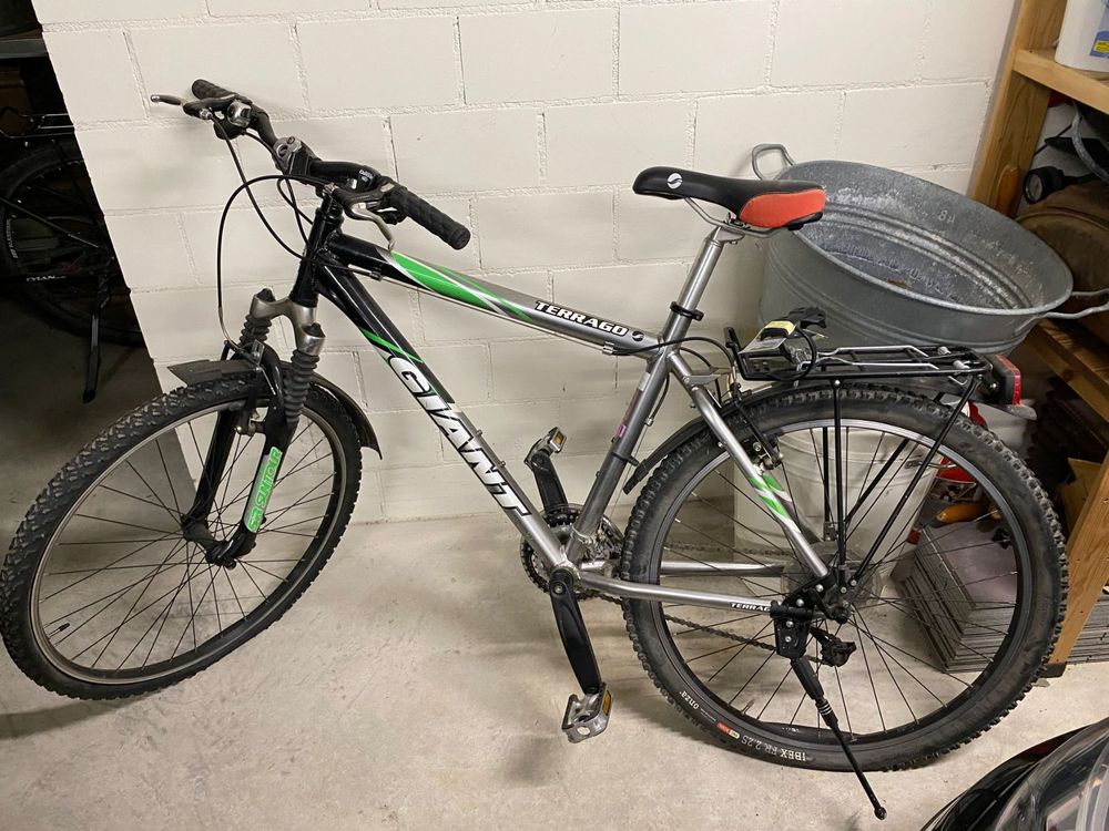 giant terrago ladies mountain bike