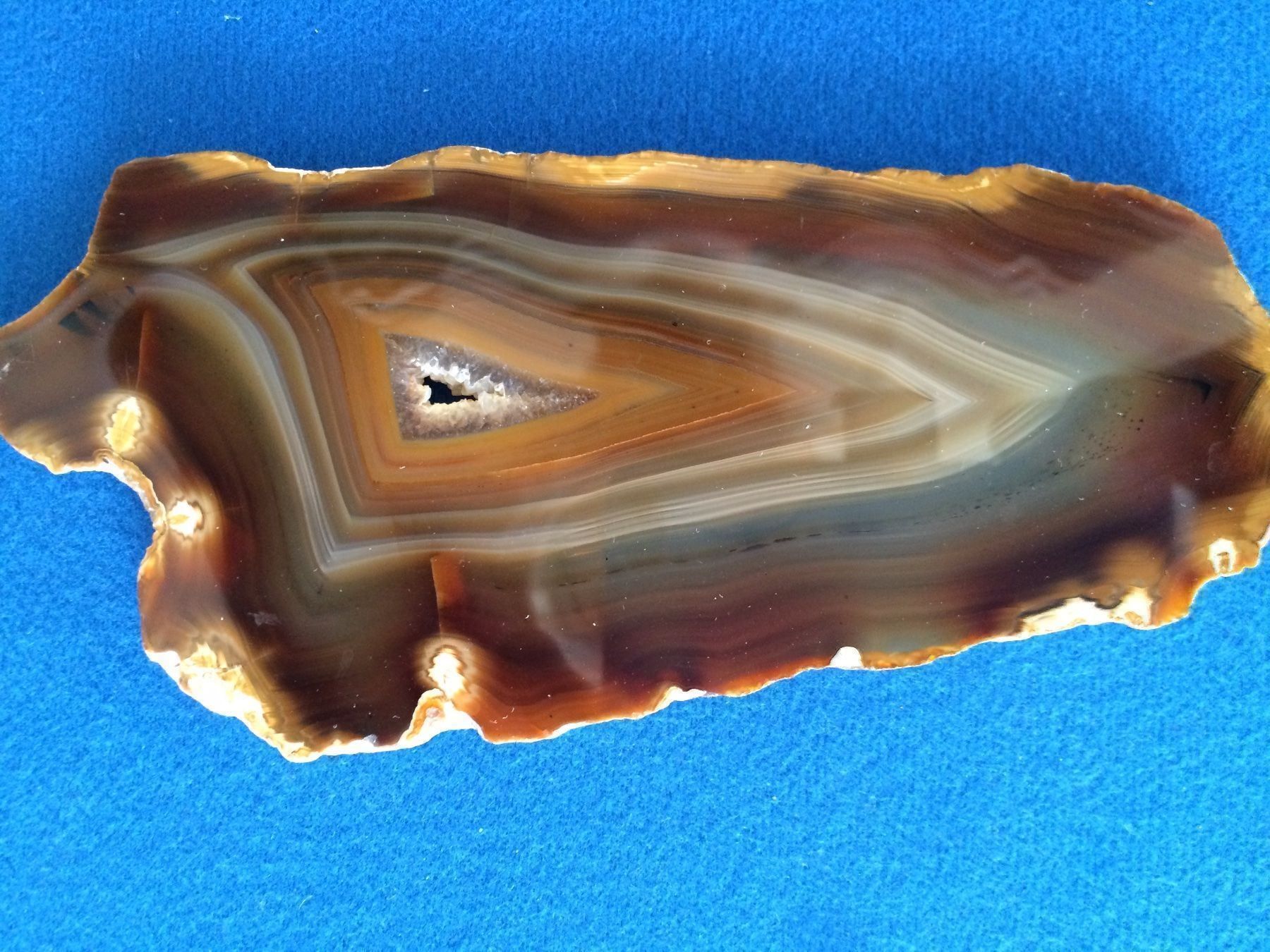 Fossili: Fossilien/Mineral "Achat"-Platte – Nuovo (secondo la descrizione) da Luzern venduto da adonairo