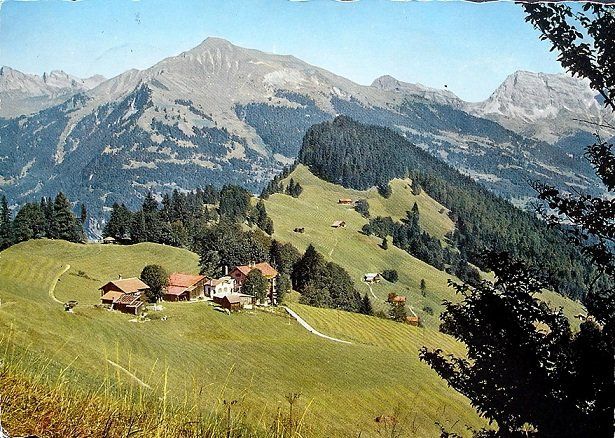 Cartoline postali: VALZEINA – Usato da Jona venduto da philajona