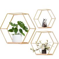 Wandregal Hexagon Hängeregal Metall dekorativ im 3er Set