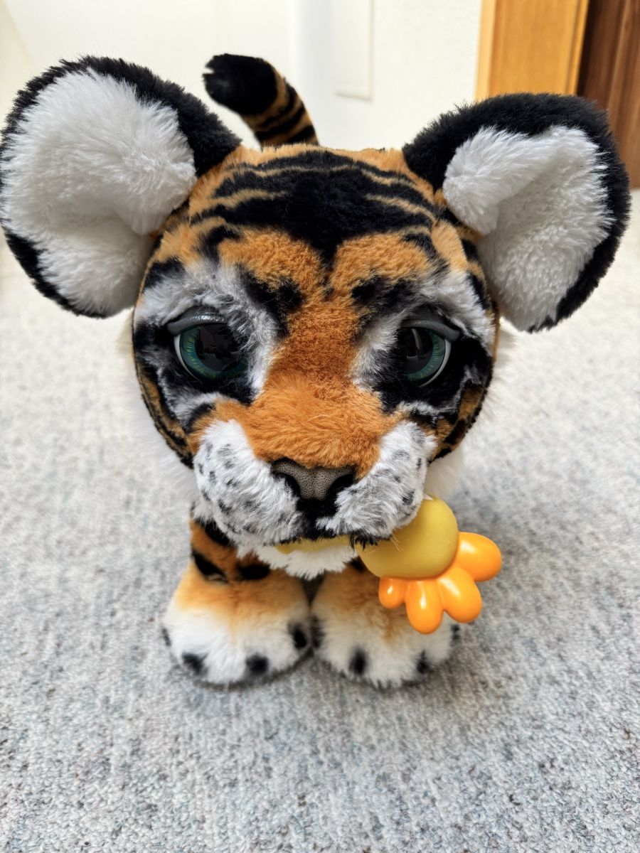 FurReal Giocattoli: Furreal Tiger – Usato da Wallenwil venduto da Mutternehmerin 2