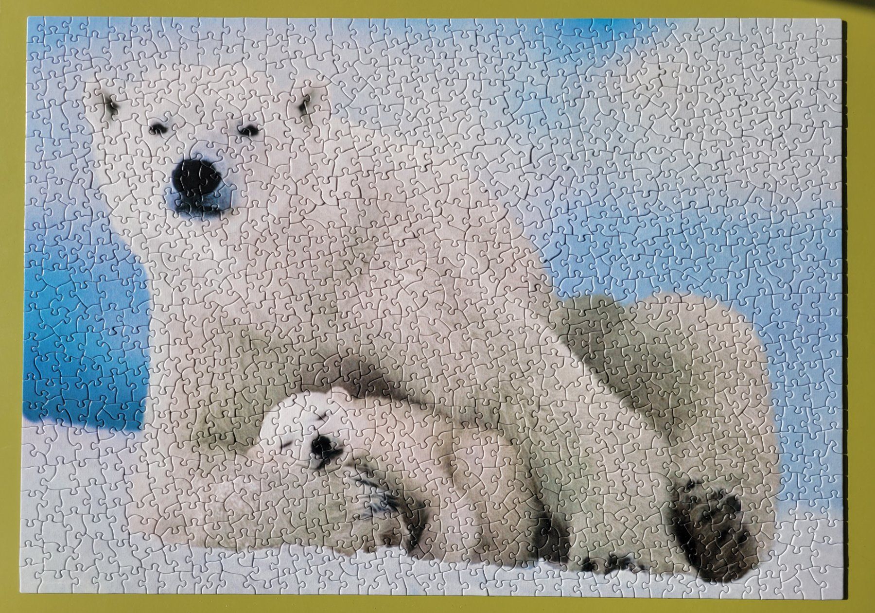 Puzzle: Puzzle Eisbär & Bär, 1000 Teile – Usato da Niederbipp venduto da Schlako 1