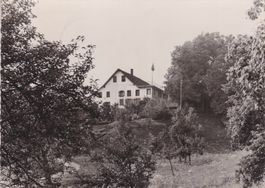 Wirtschaft Schweikhof, Ebertswil (Zch) 1952