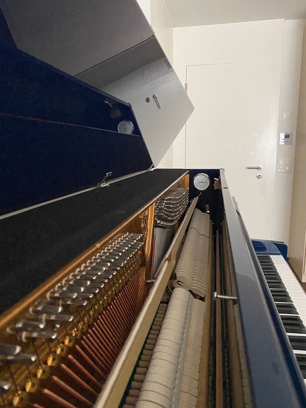 Strumenti musicali: Wenig gebrauchtes KLAVIER SAUTER,CANTUS 114, SONDEREDITION – Usato da Walchwil venduto da Zentralschwiiz 2