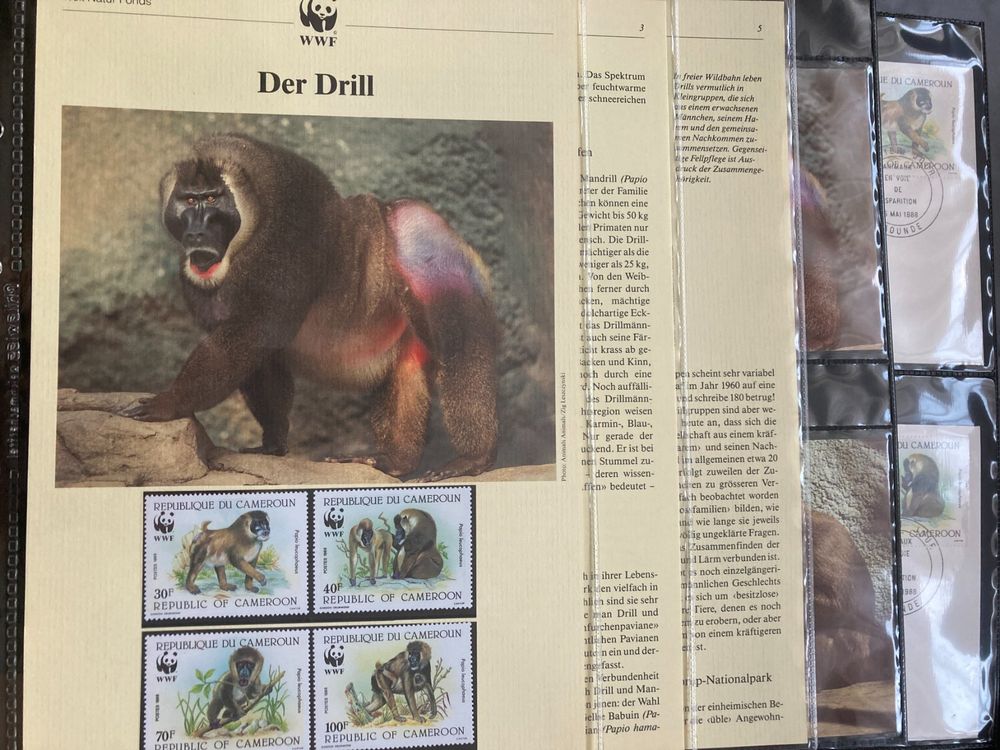 Botswana 1988 Satz WWF Drill Pavian Kapitel vollständig (Neu (gemäss ...