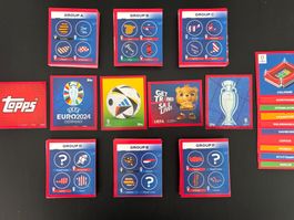 Topps Sticker Euro 2024, 686 Sticker OHNE SP