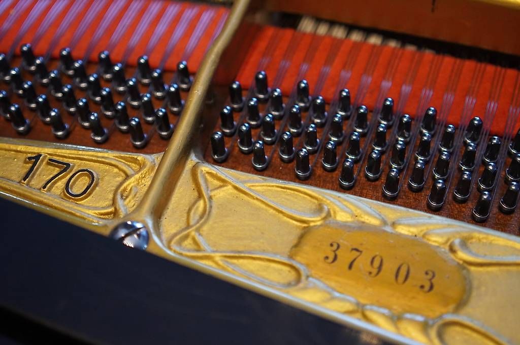 Strumenti musicali: Flügel Grotrian Steinweg 170 – Usato da Küttigen venduto da PianoSarbach 3