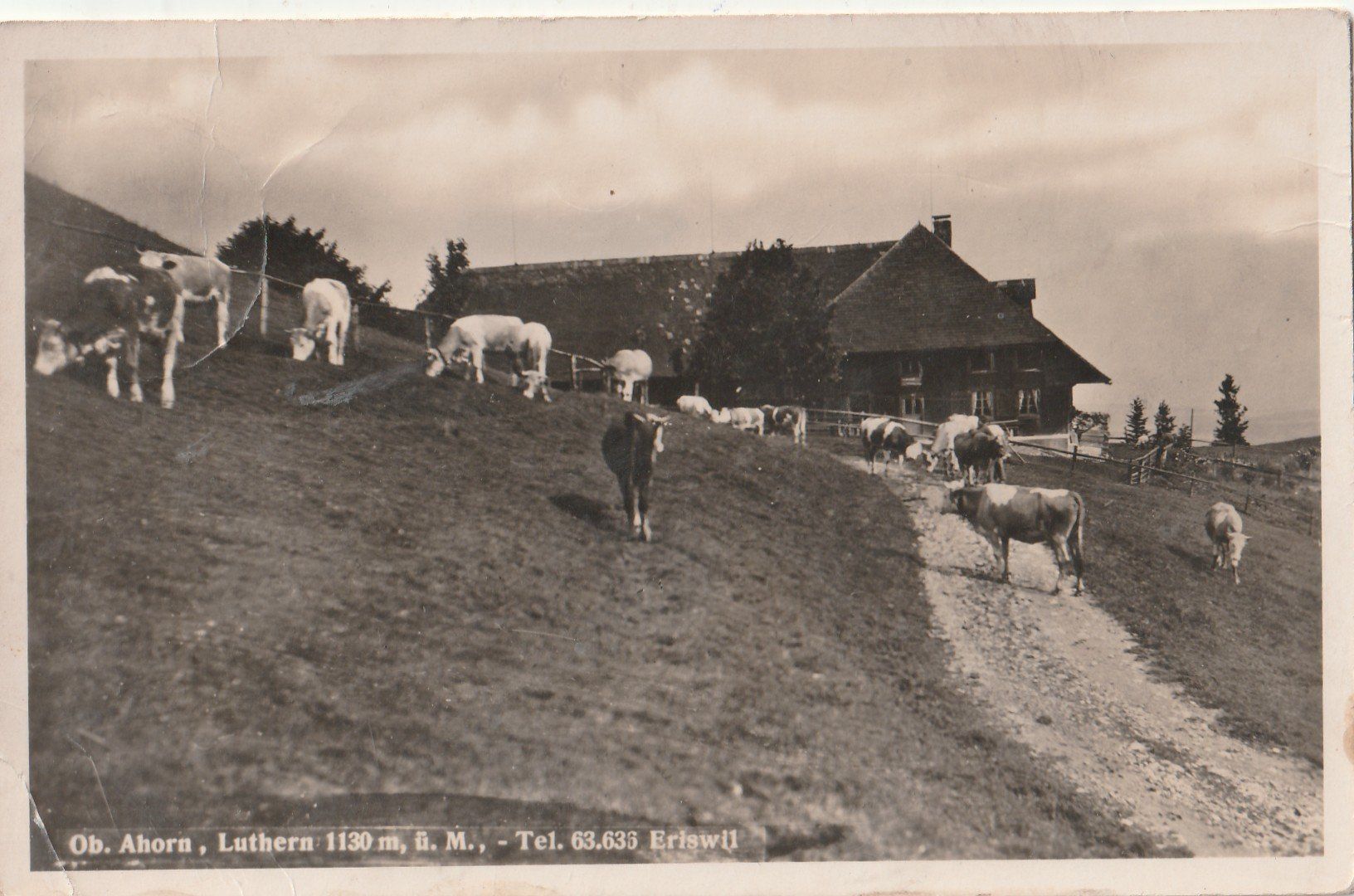 Cartoline postali: Alp Luthern – Usato da Lumbrein venduto da made02