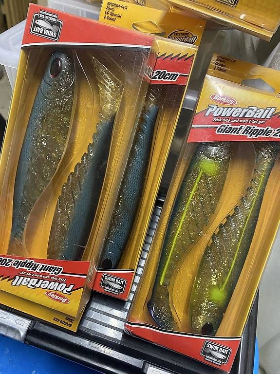 Esche: Berkley Ripple shad 20cm – Usato da Preverenges venduto da Jojoa35 3