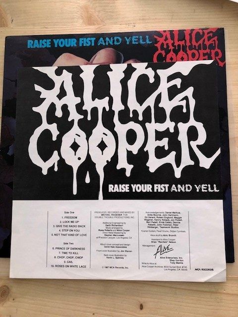 Dischi in vinile: Alice Cooper – Usato da Aarwangen venduto da Jukebox3 7