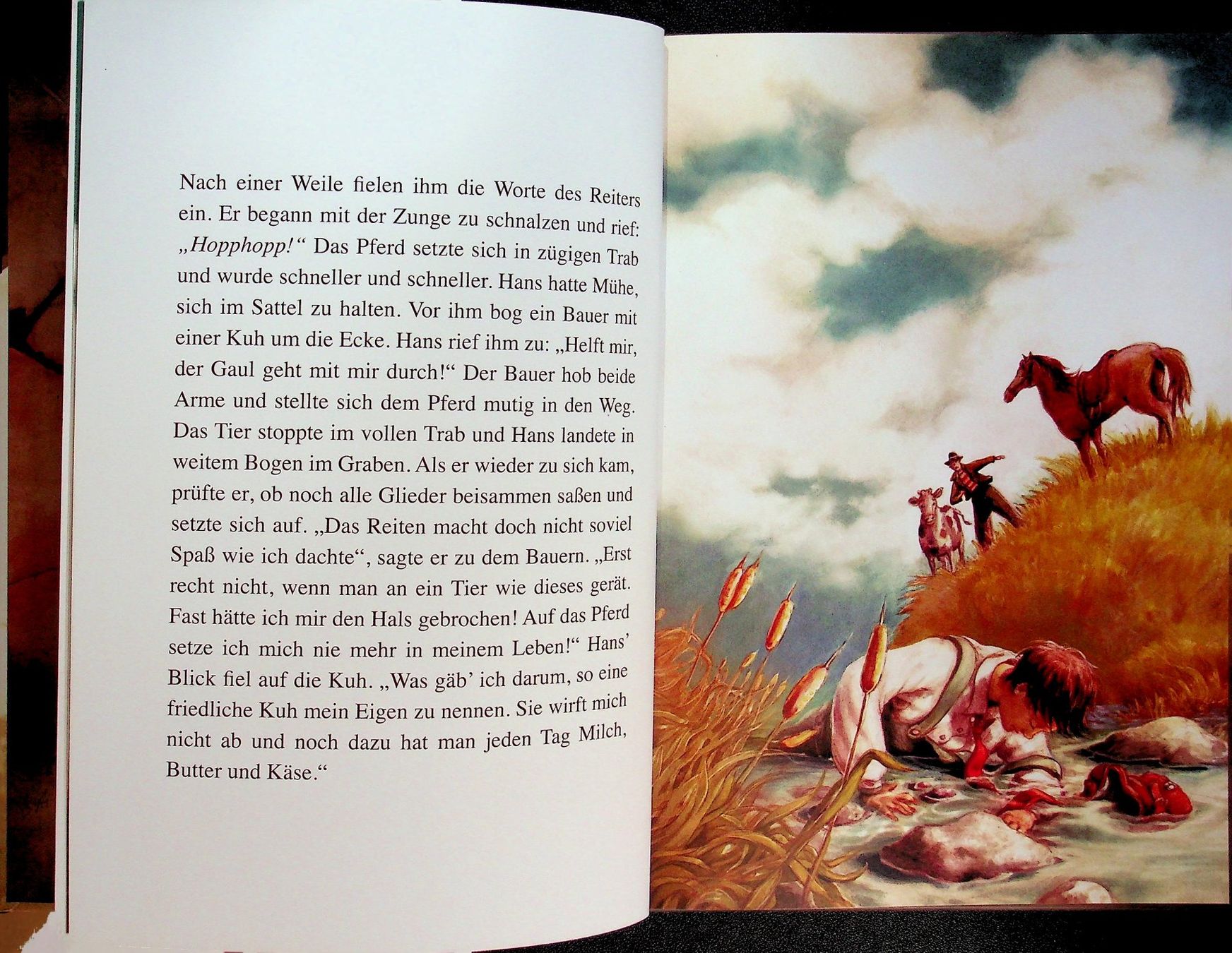 Libri: Petra Probst Die schönsten Märchen der Brüder Grimm – Usato da Reitnau venduto da Zaomir 5