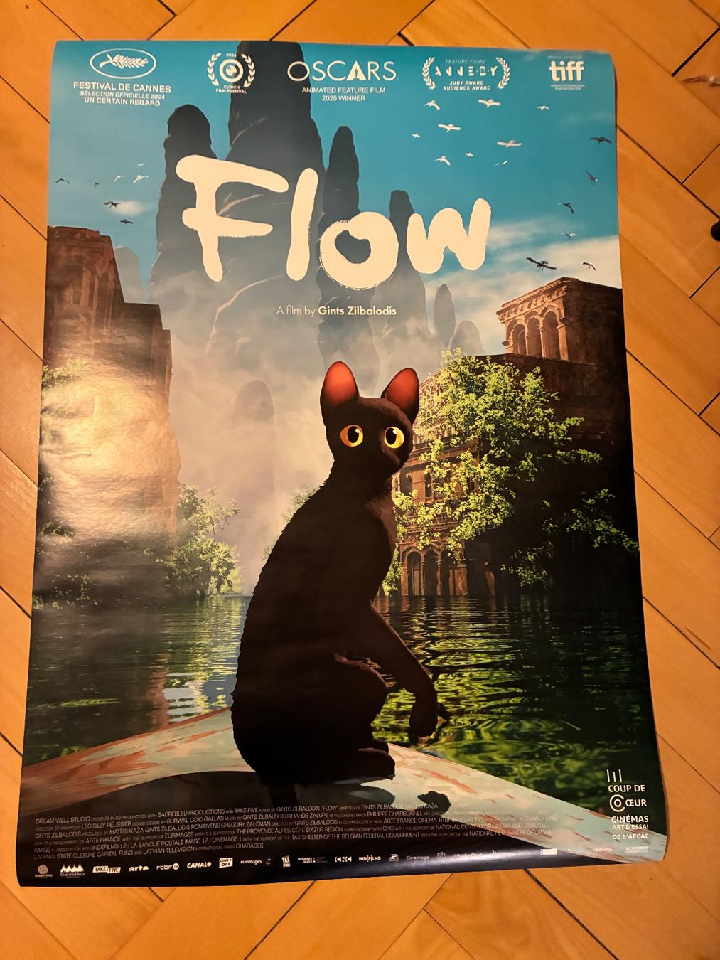 Foto & Immagini: NEU: Filmposter "Flow" inkl. Posterschienen schwarz – Nuovo e nell'imballaggio originale da Zürich venduto da April4all