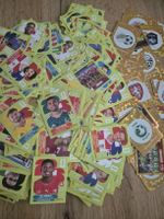 395 fifa panini world cup 2026 sticker