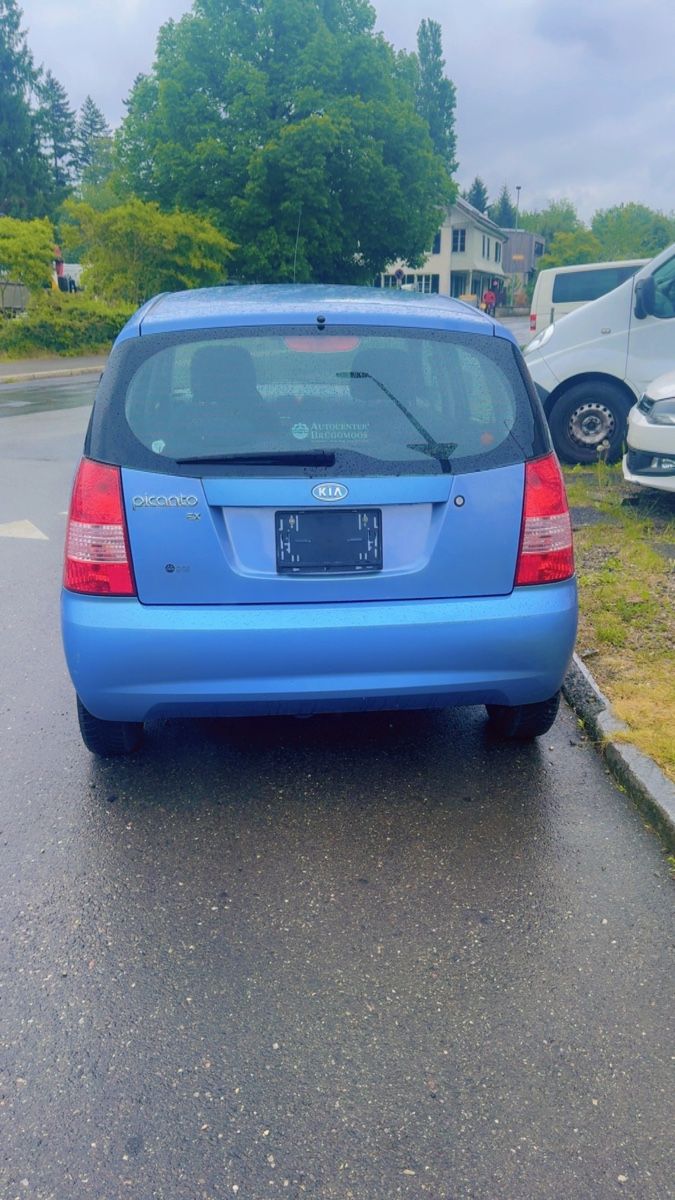 Kia Automobili: Kia picanto – Usato da Zollikofen venduto da nha_825x 2