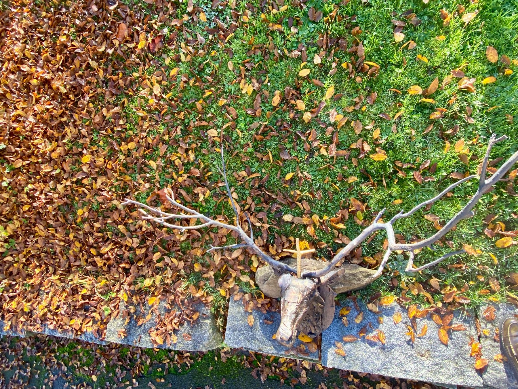 Tutte le decorazioni: Hubertus – Usato da St. Gallen venduto da Kooby 1
