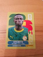 Panini WM 2026 SEN 20