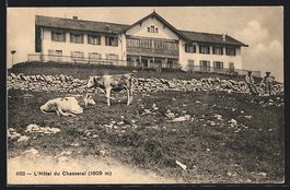 AK Chasseral, deux vaches et l'Hotel